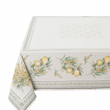 Nappe Carrée - Menton